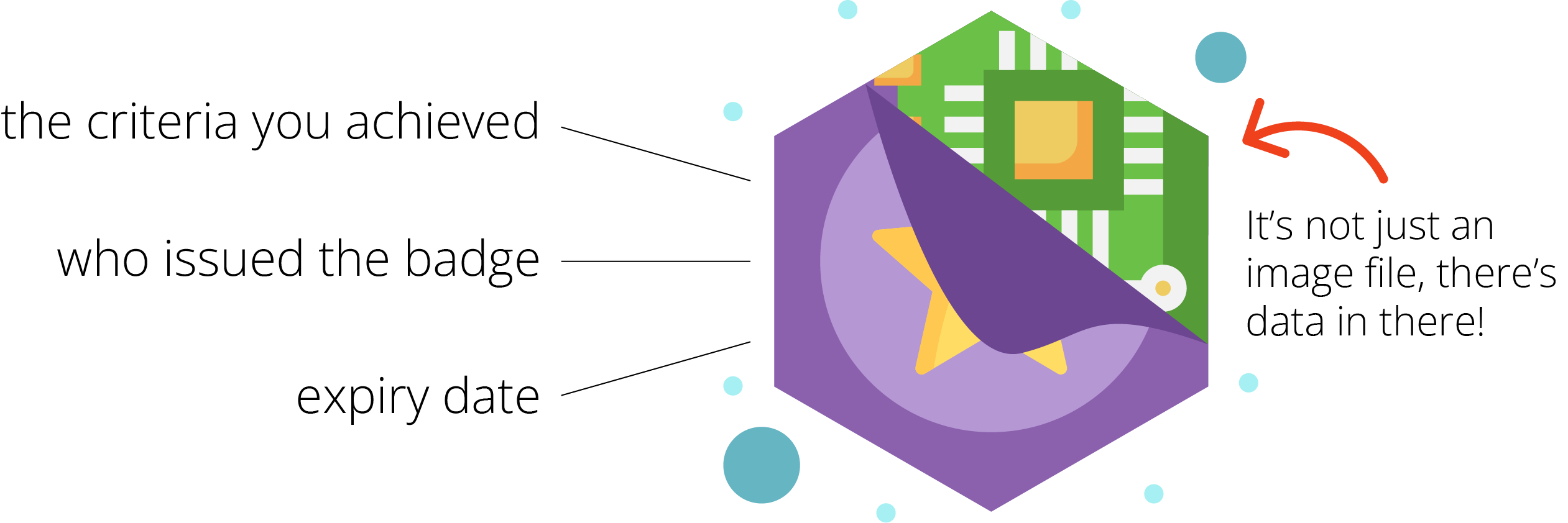 Micro-badge-example