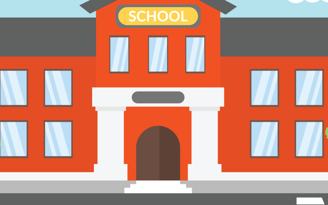 Why we visit schools