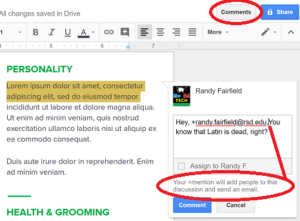 Google Docs comments for formative feedback