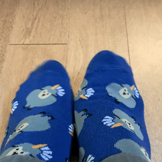 Hipi the Sheepicorn socks
